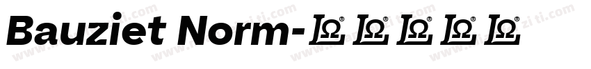 Bauziet Norm字体转换